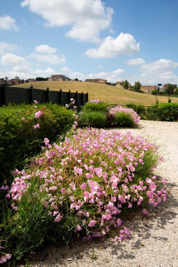 Tenuta Capizucchi