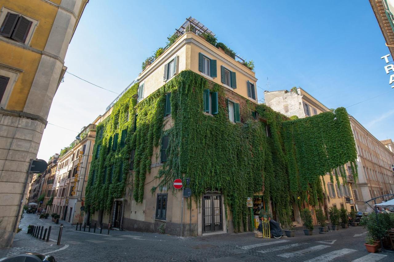 As Feel - Iconic Monti Design Roma