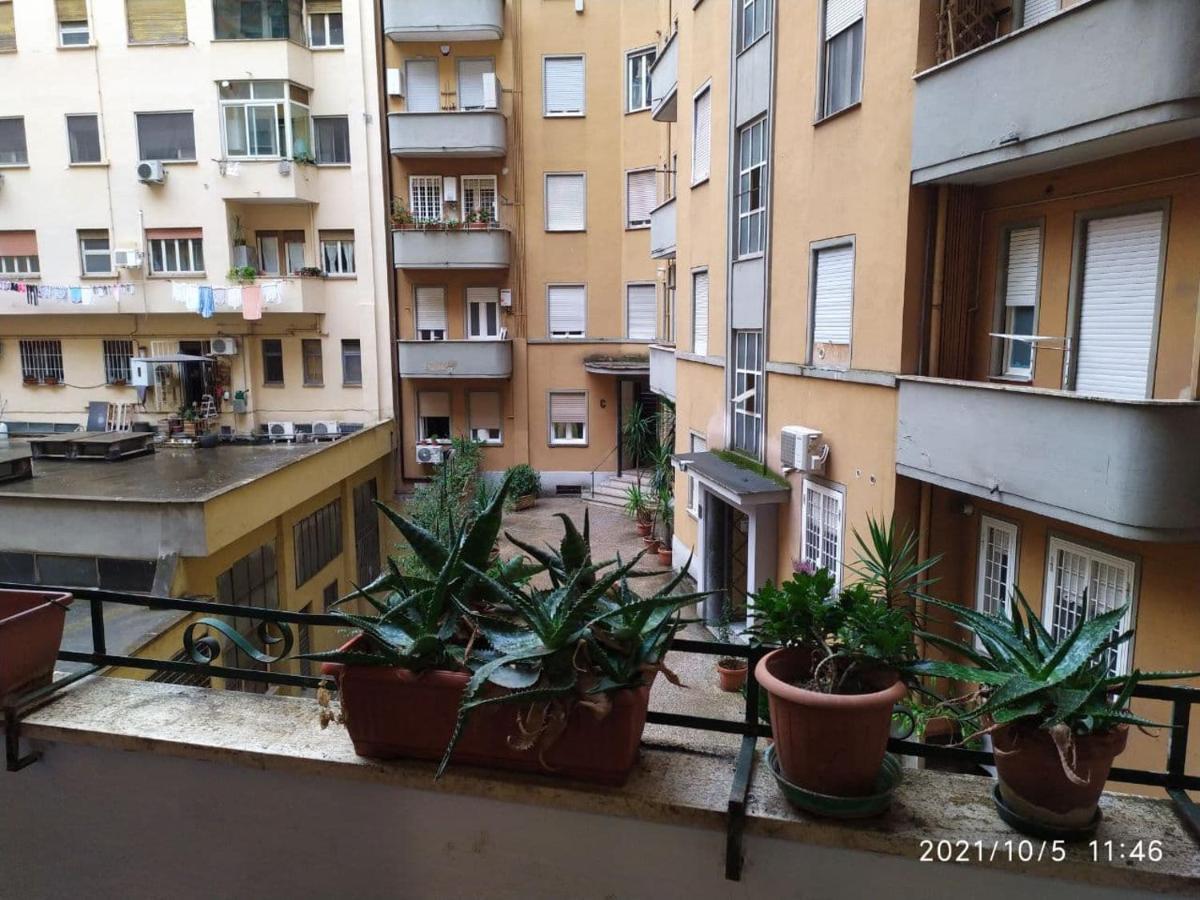 Affittacamera Ferracani *