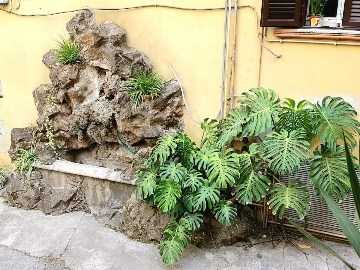 Leilighet St Peter Charming House Roma