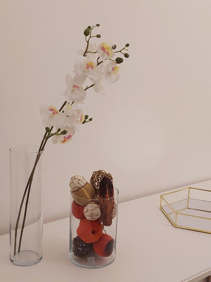 Apartment Conte Rosso