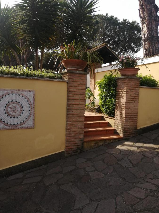 Indipendente In Grande Appartamento