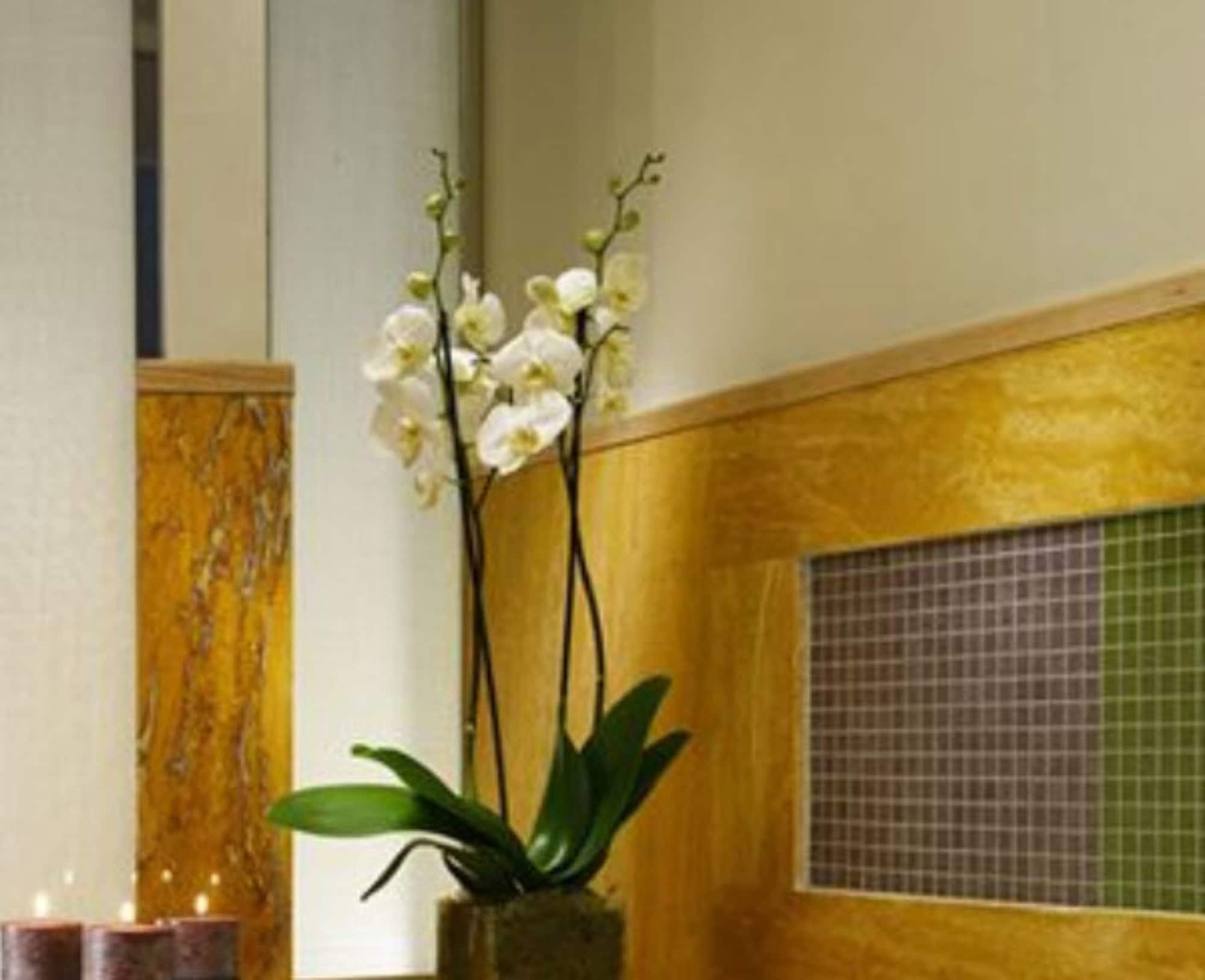 Babuino 181 - Small Luxury Of The World