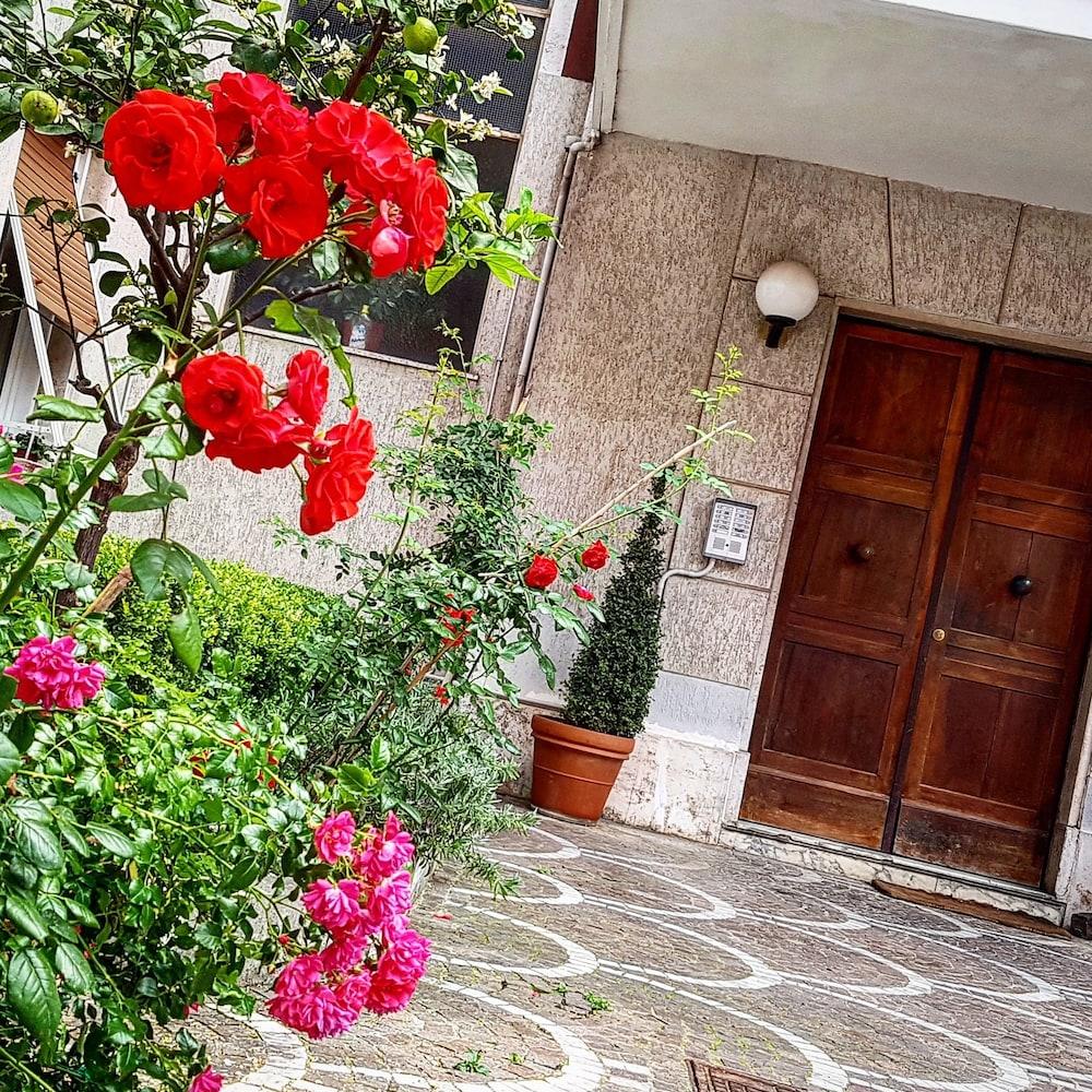 Aurelia Garden Roma