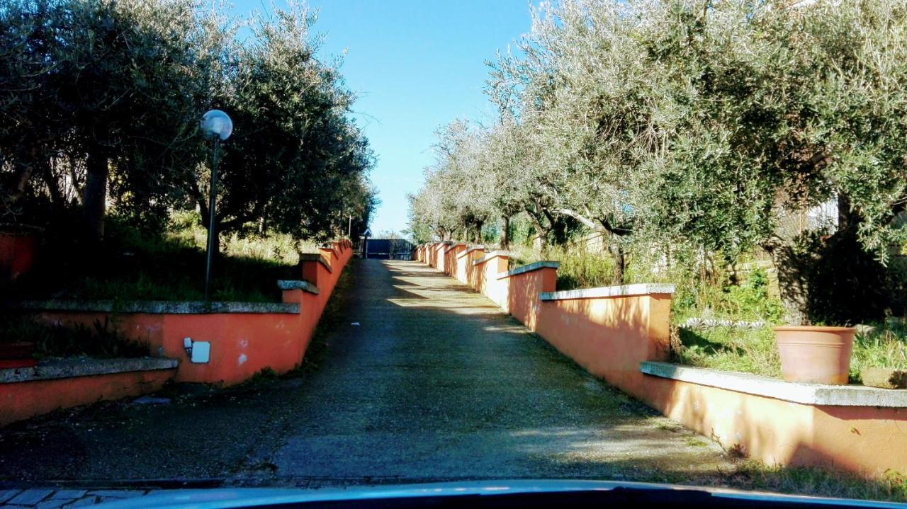Locazione Turistica Dream House Marzia Holiday home