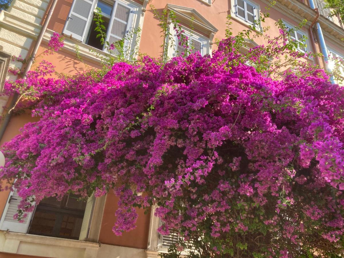 Casa Valdese 3* Rome
