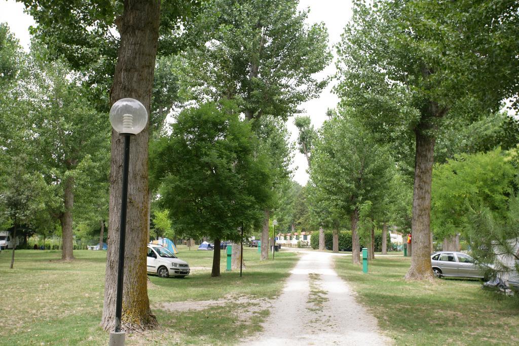 Tiber 2*