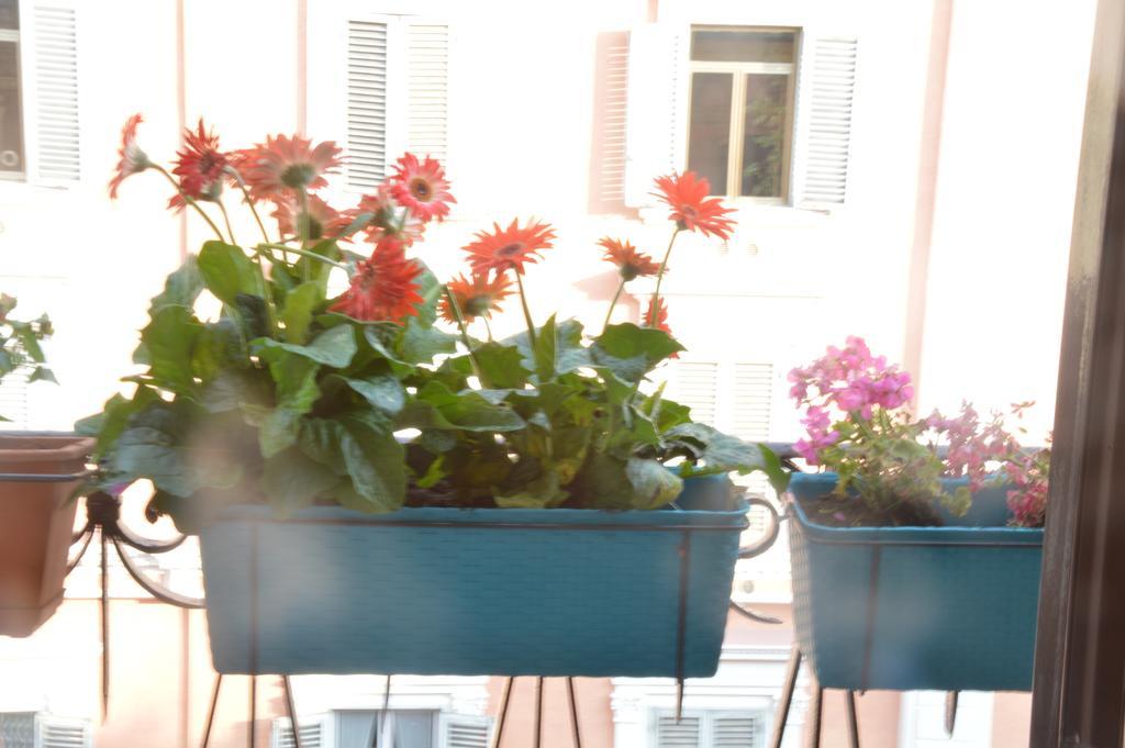 Casa vacanze Vatican House *