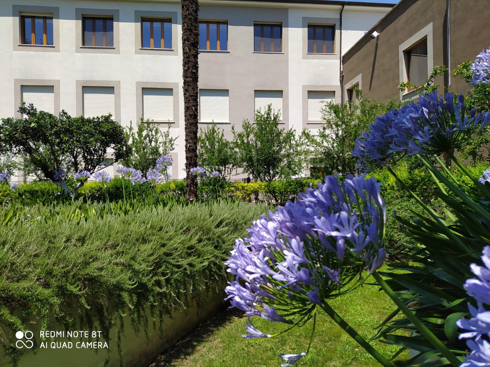 Hotel Il Cantico St. Peter Roma