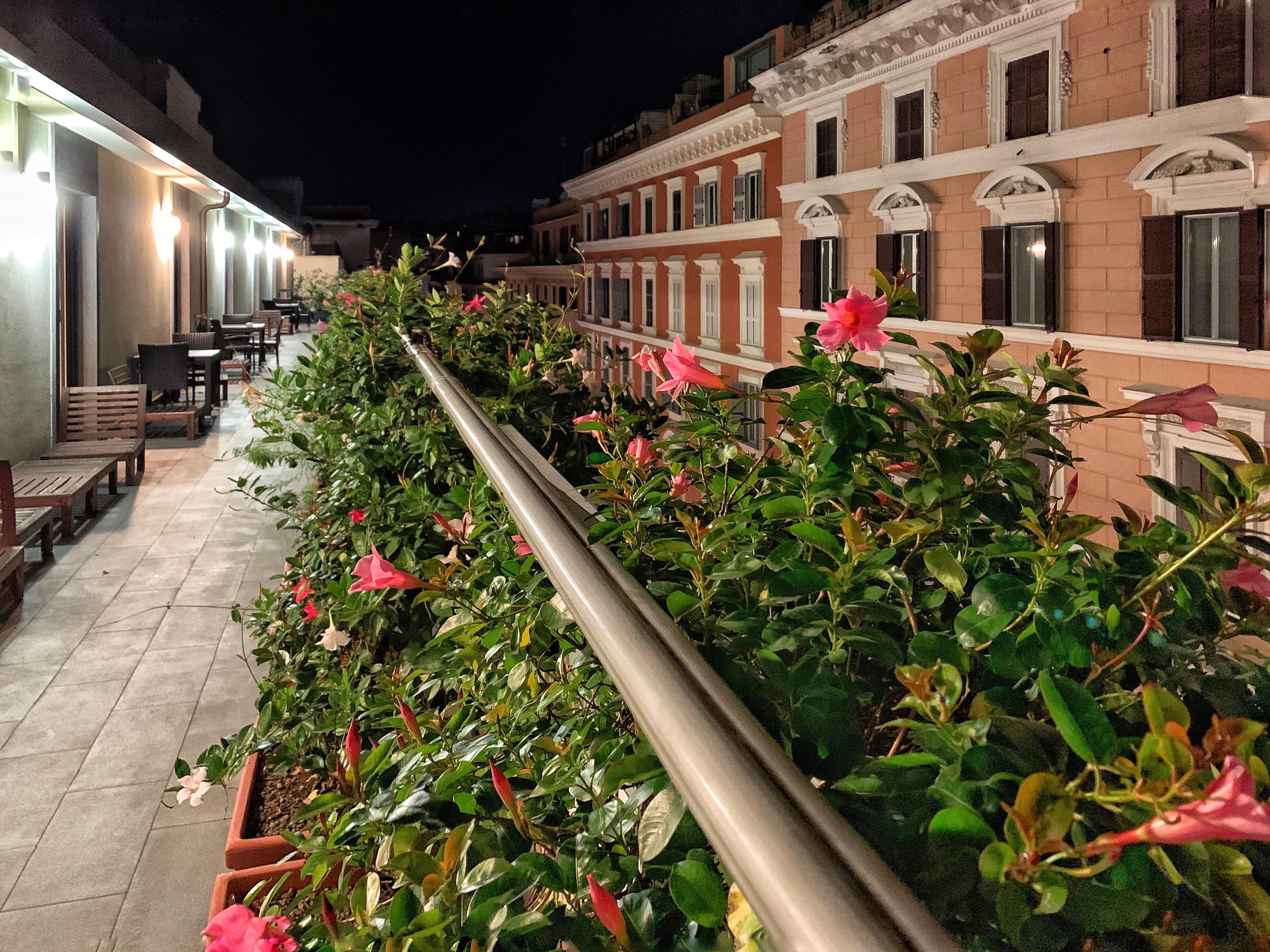 Domus Helena Guest house 3*