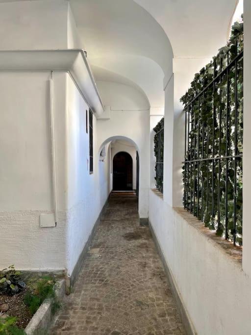 Lovely In Via Della Scala, Trastevere Leilighet Roma