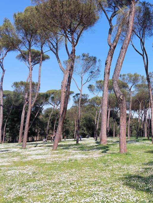 Leilighet Magnifica In Centro Roma