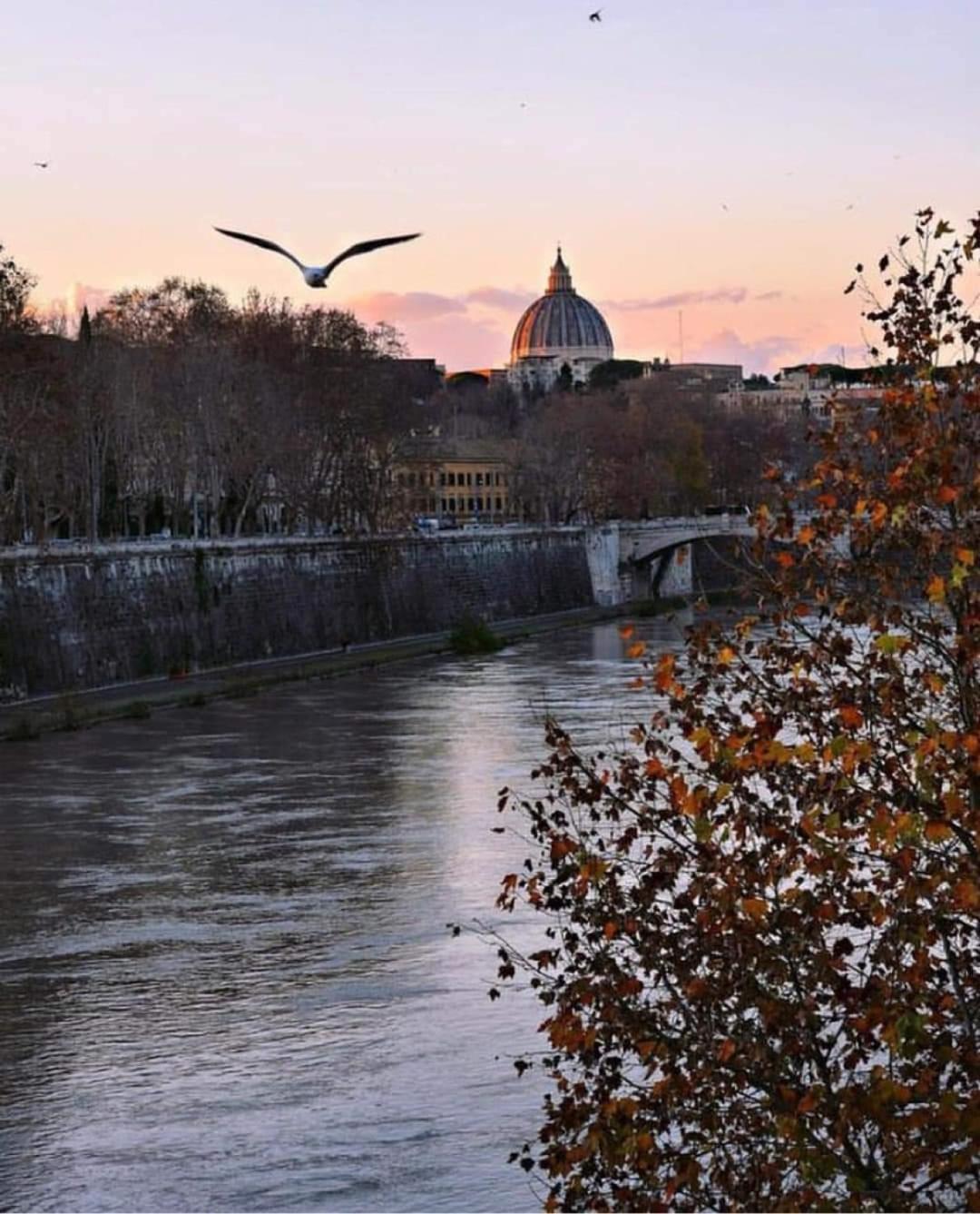 La Casa Di Ludovica All'appio Latino Apartamento *