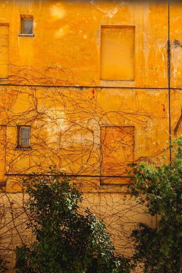 Apartamento Domus Vaticana Roma