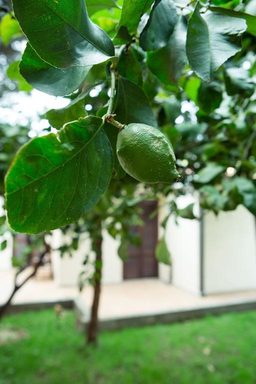 Villino Elda Alojamento de Acomodação e Pequeno-almoço *