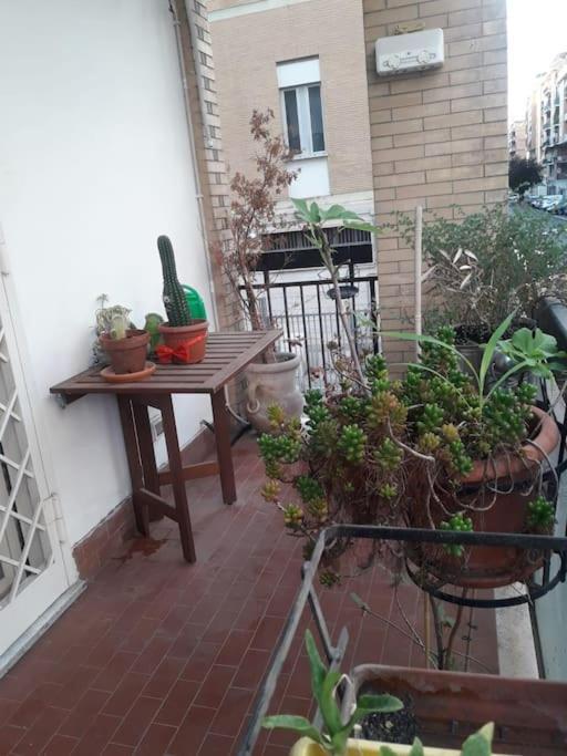 La Casa Di Carlotta Rom