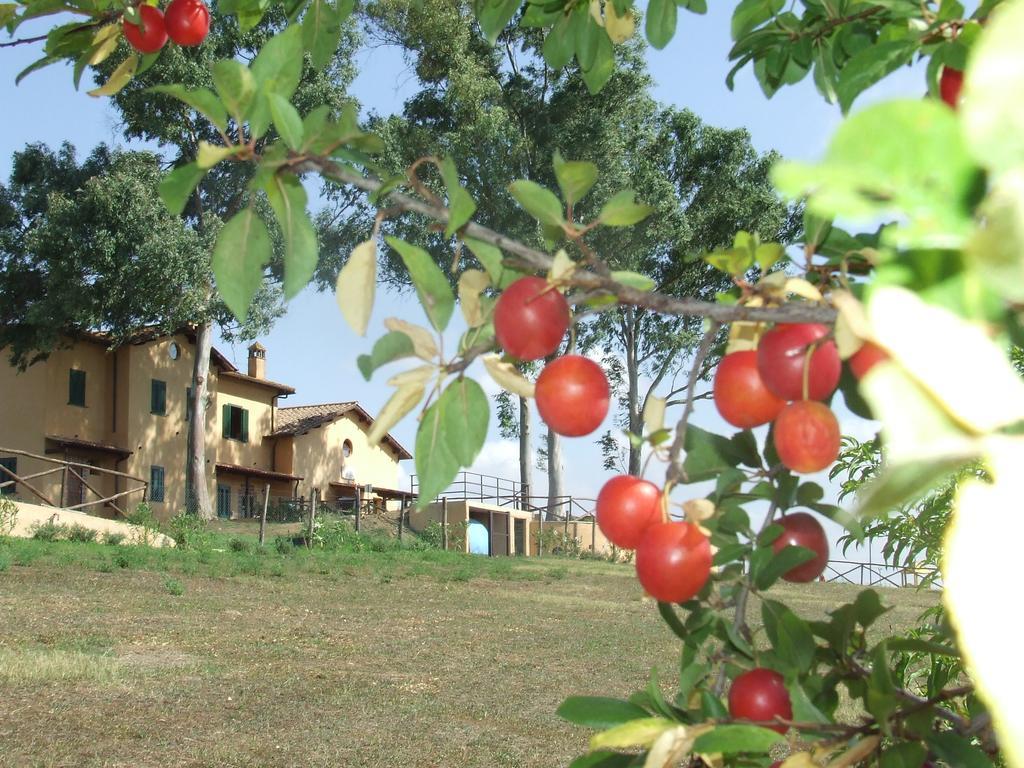 Il Casale Di Feriegårder