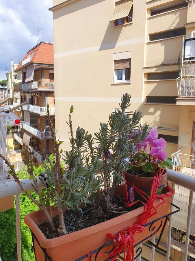 Apartamento Luminoso Pamphili