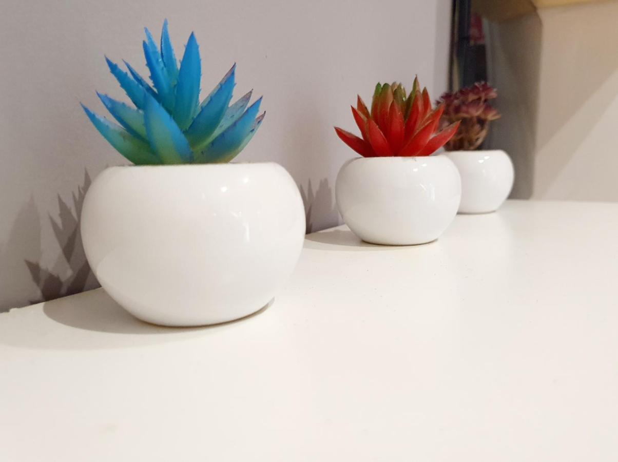 Via Nicola Fabrizi Apartment *