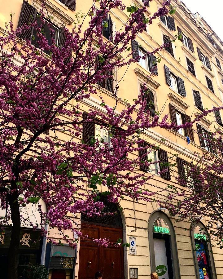 Apartamento In Roma