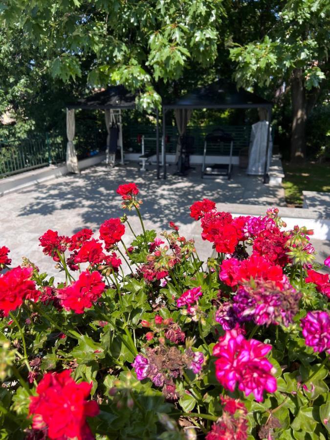 Frühstückspension Albina 3*