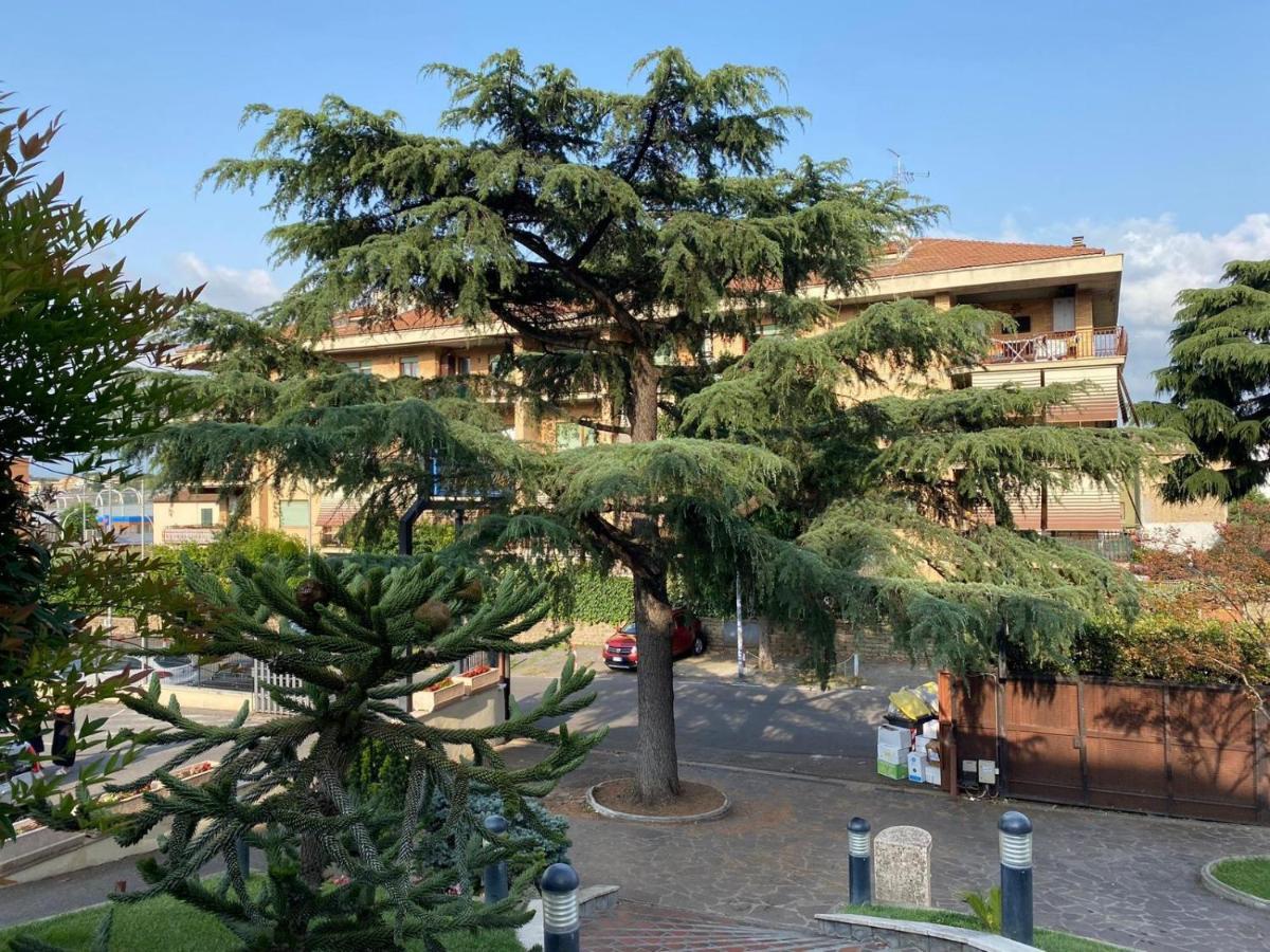 Polly Garden Appartamento