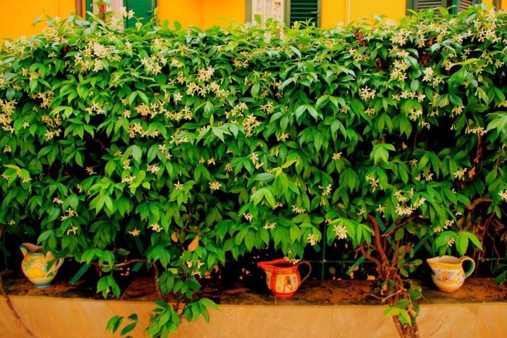 Casa E Per Vacanze Bonifazi Feriehus Roma