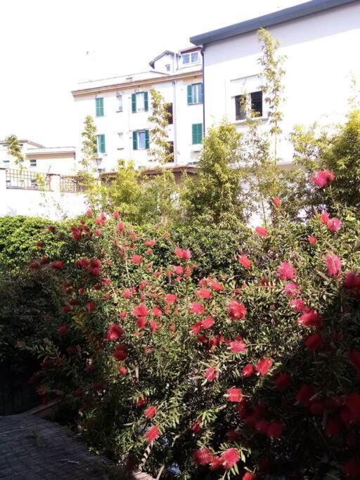 Indipendent Holiday House Appartamento