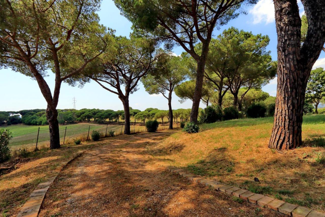L'oasi Di Baal Villa Rome