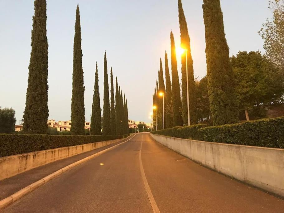 Gurrieri * Roma