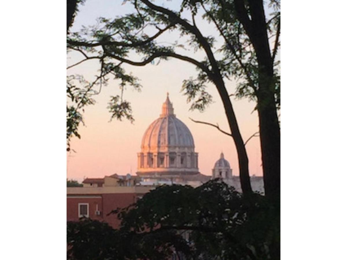 Welcome To Baldo Roma