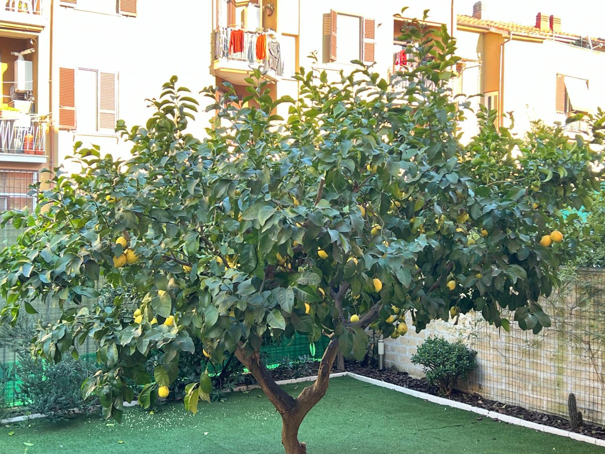 Casa vacanze Casa Paestum. Your Wonderful Garden In Roma