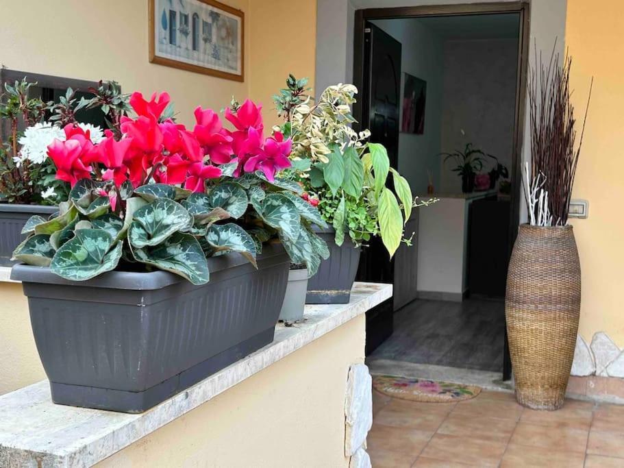 Domus Acquedotto Apartamento