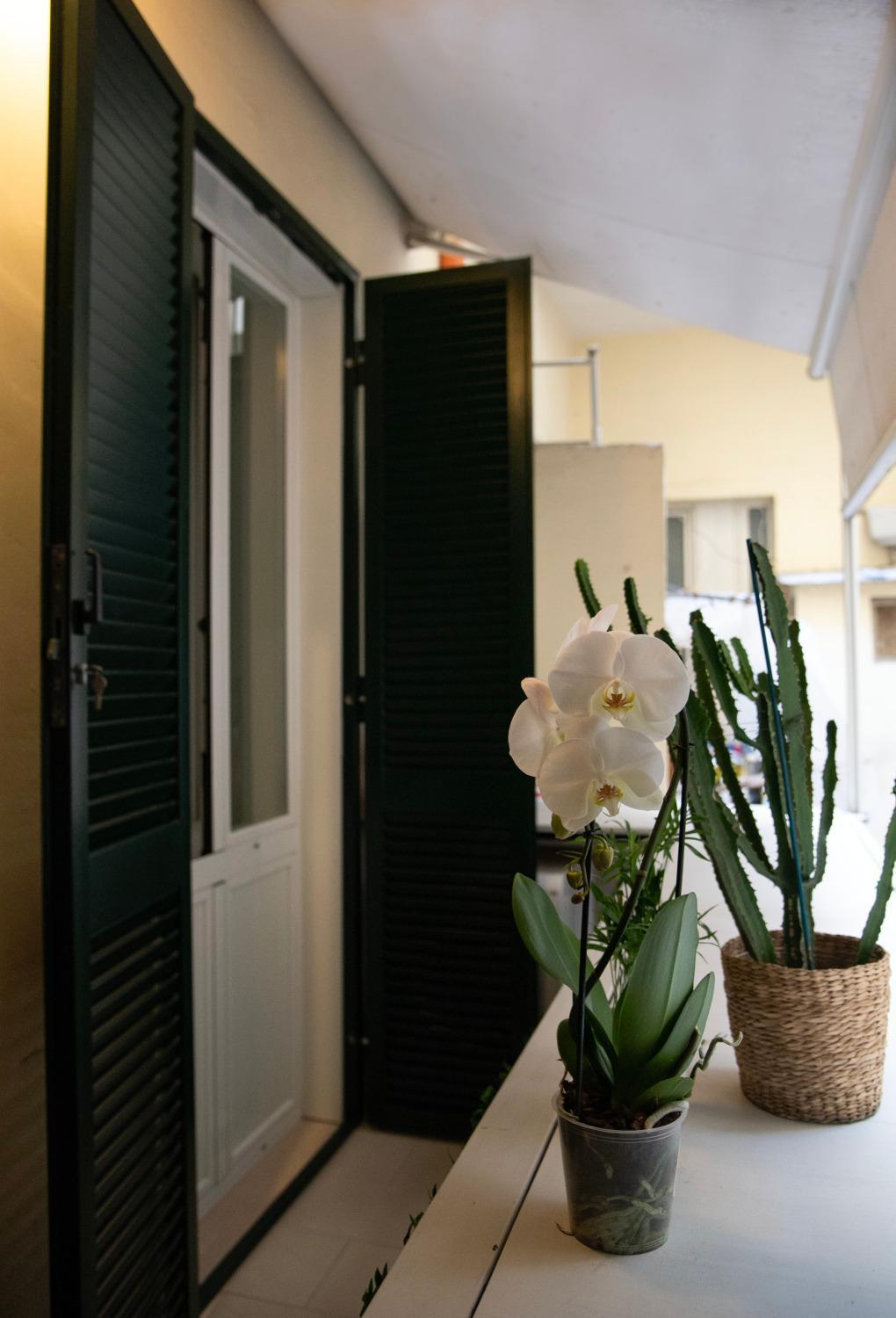 House Domusella Apartment Rome