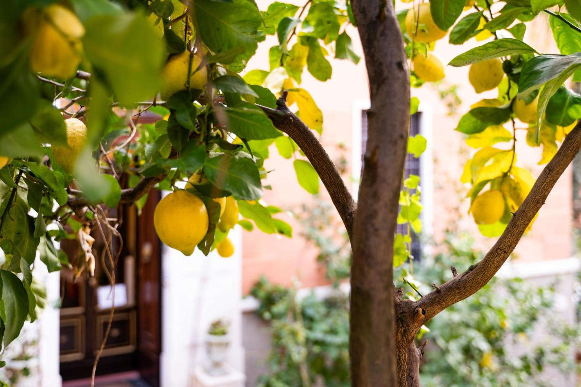 Bed and breakfast Contessa Arrivabene Antica Dimora