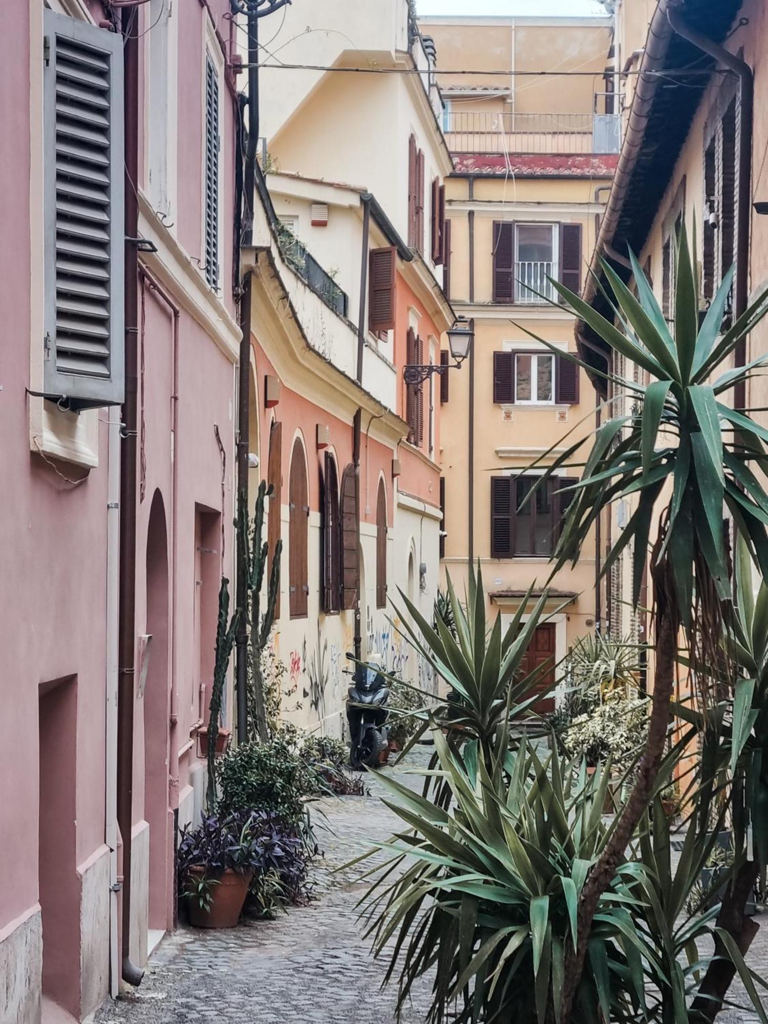 Colosseum Luxury Apartamento Roma