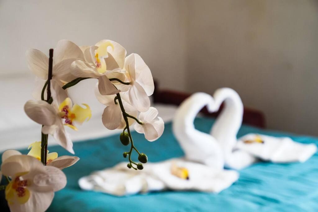 Apartamento Da Bricca A Monteverde *