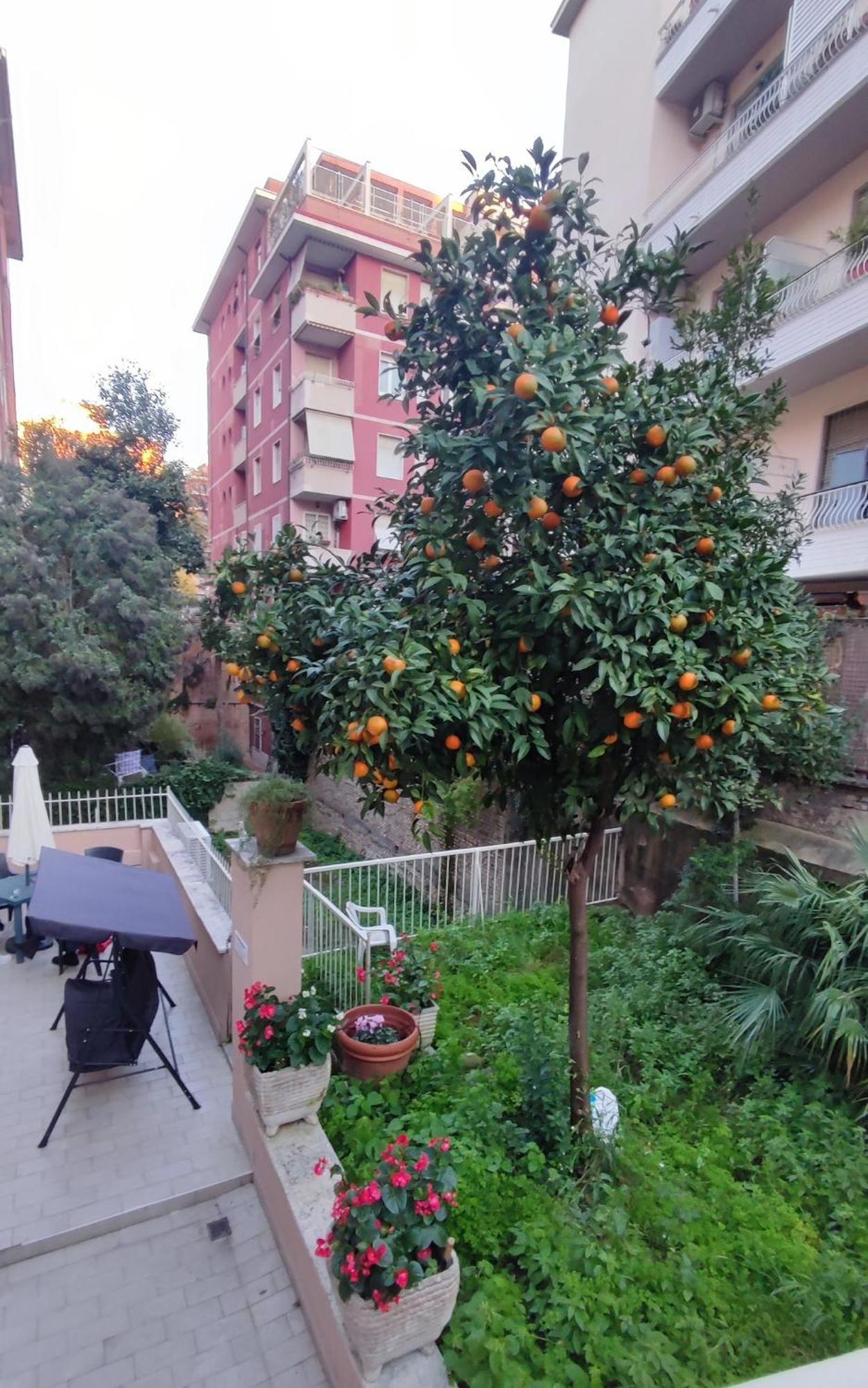 Gasthof Vatican Garden Rom