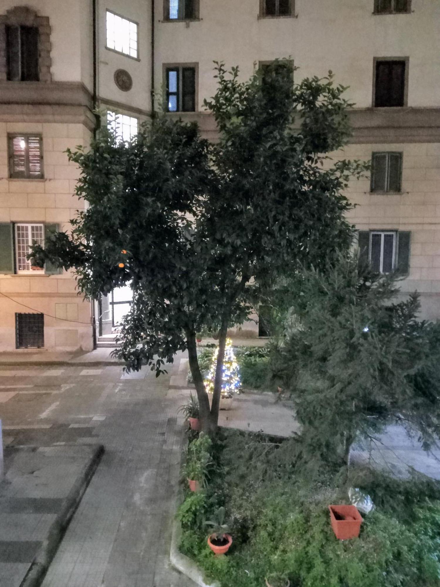 L'appartamento Di Carla Zona Storica Roma