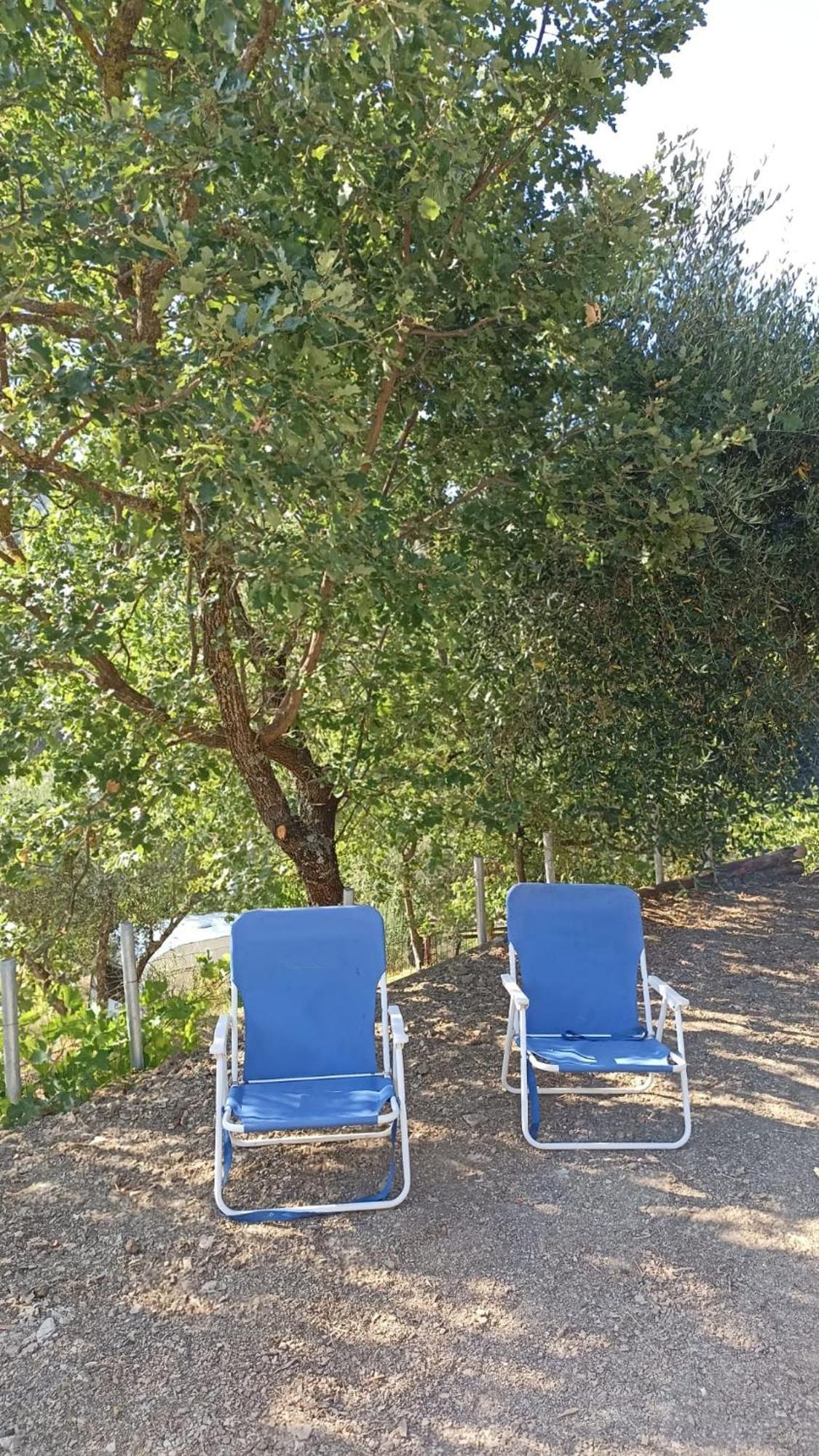 Alojamento de Acomodação e Pequeno-almoço Lavanda E Rosmarino *