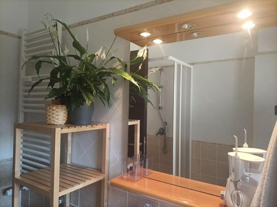 Mia Ginger, Stazione Trastevere Vicinanze Apartamento