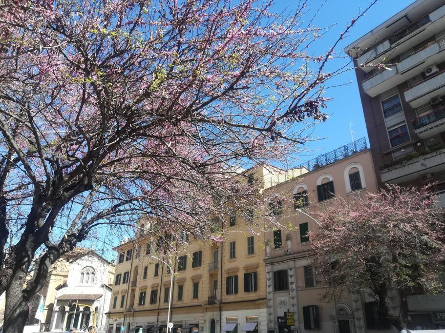 Aura - Grazioso Vicino Metro A E C Apartamento *