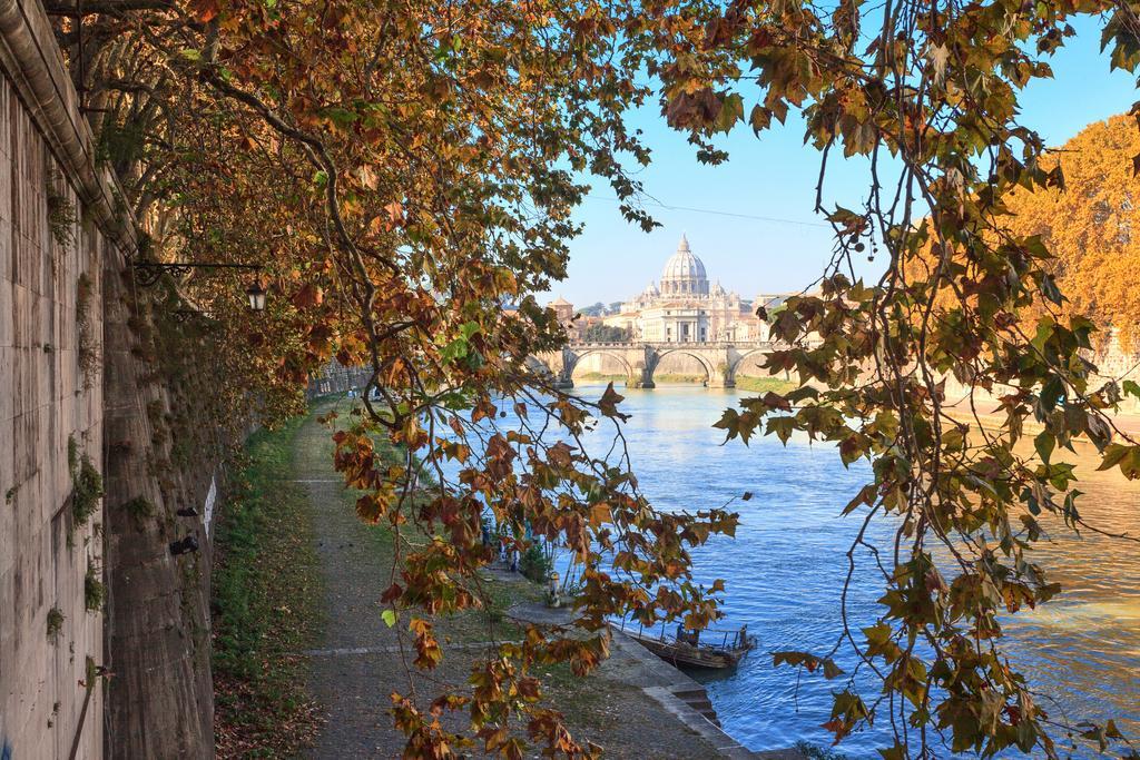 Affittacamere Vatican Domus