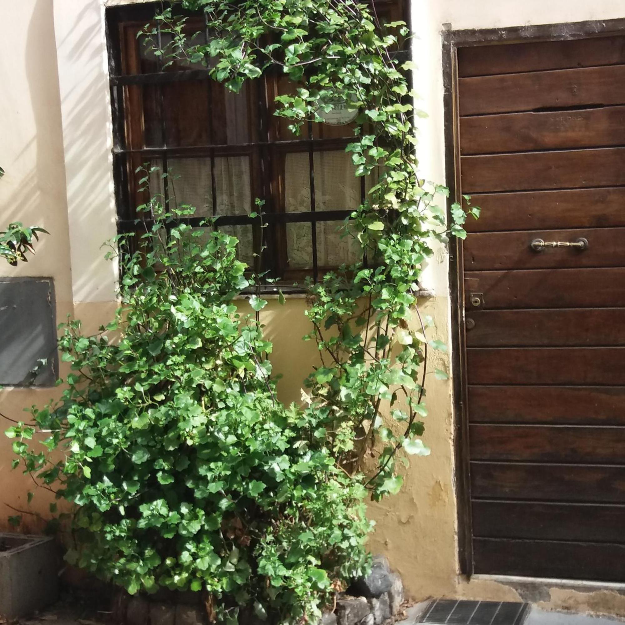 Bed & Breakfast Ventisei Scalini A Trastevere Roma
