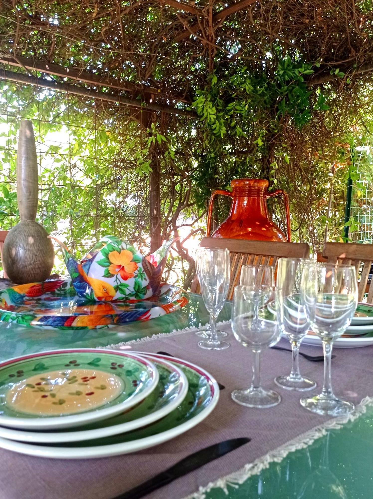 The Olive Grove Villa