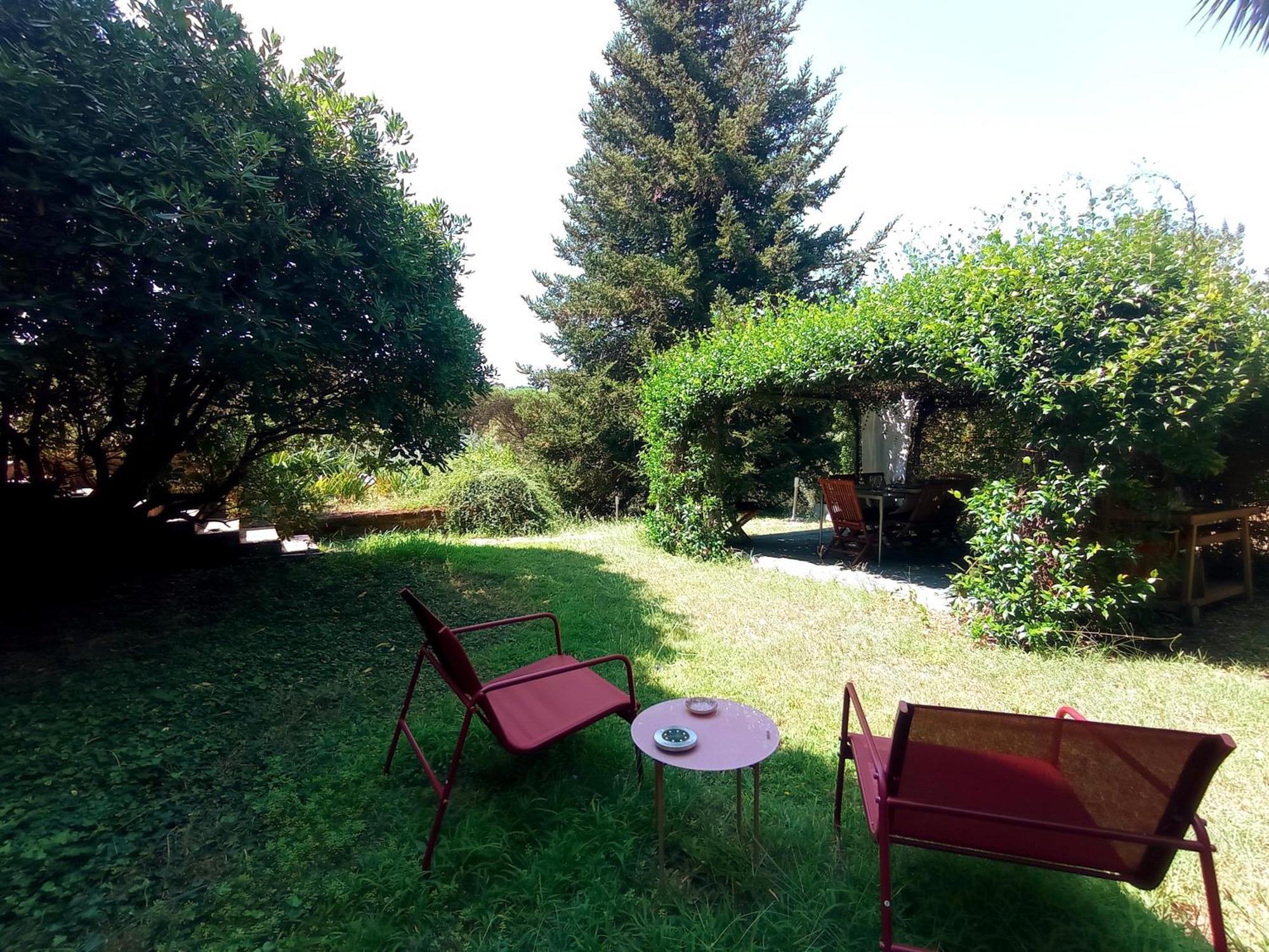 The Olive Grove Rome