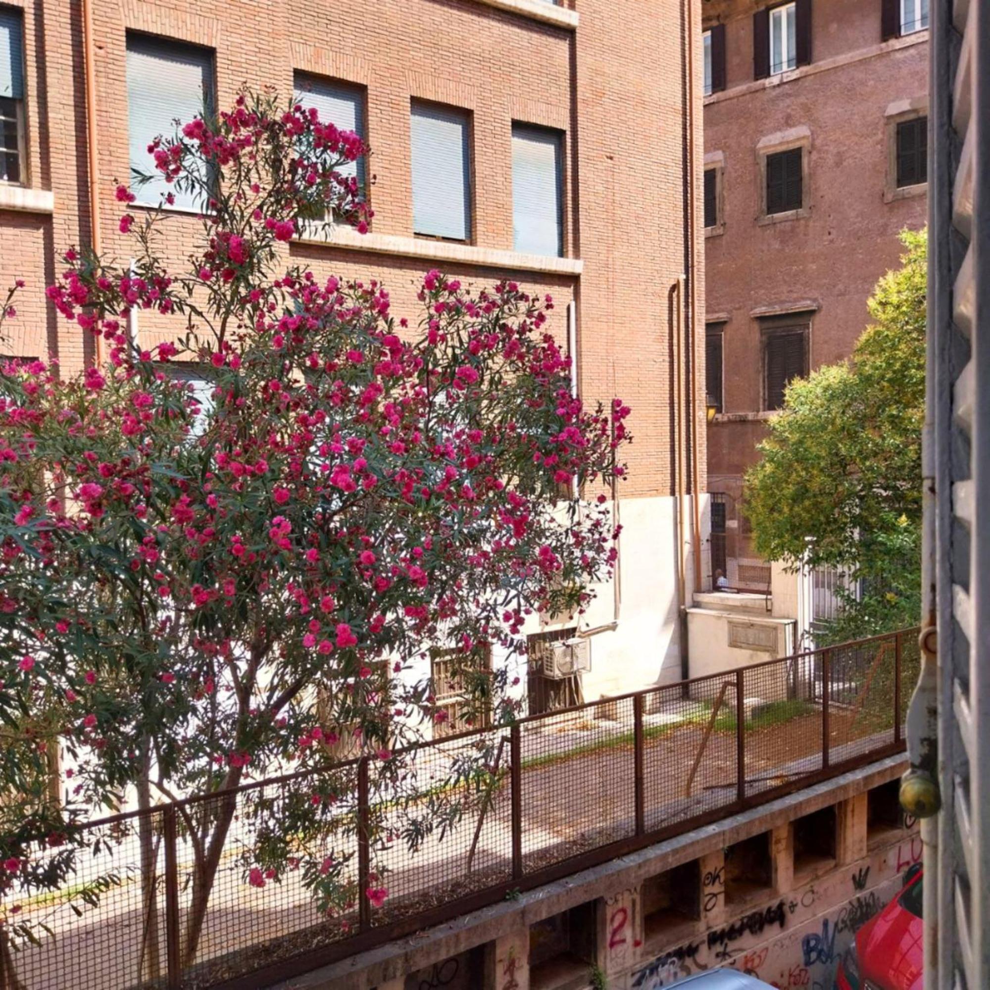 Apartment Sunhouserome
