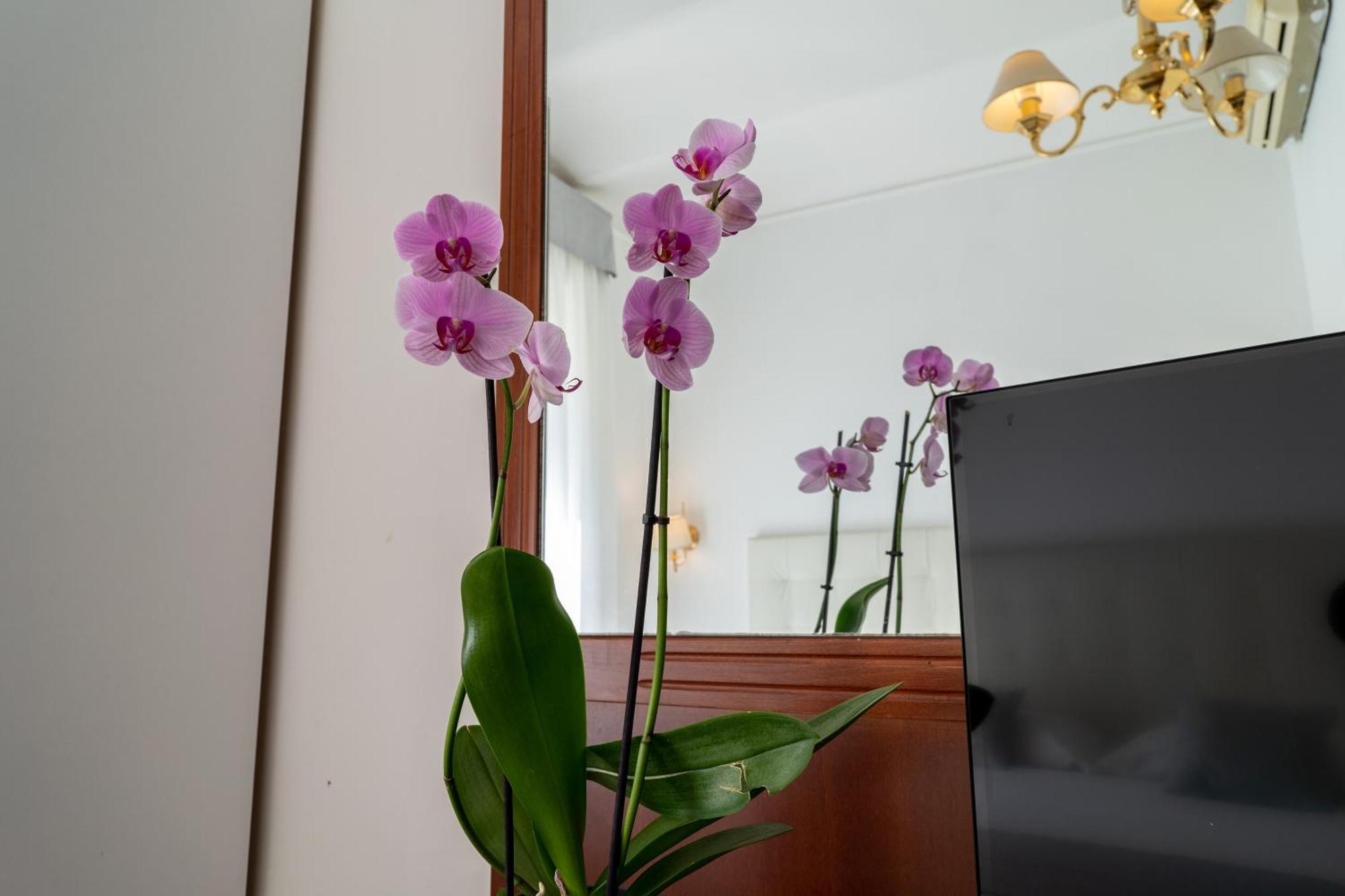 Hotel Gabriella