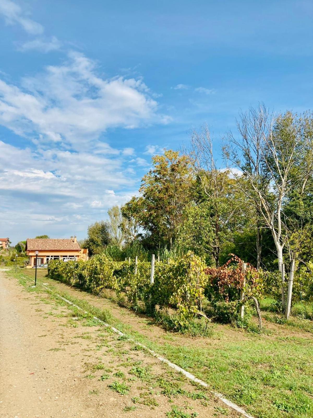 Bubù, Country-chic Roma