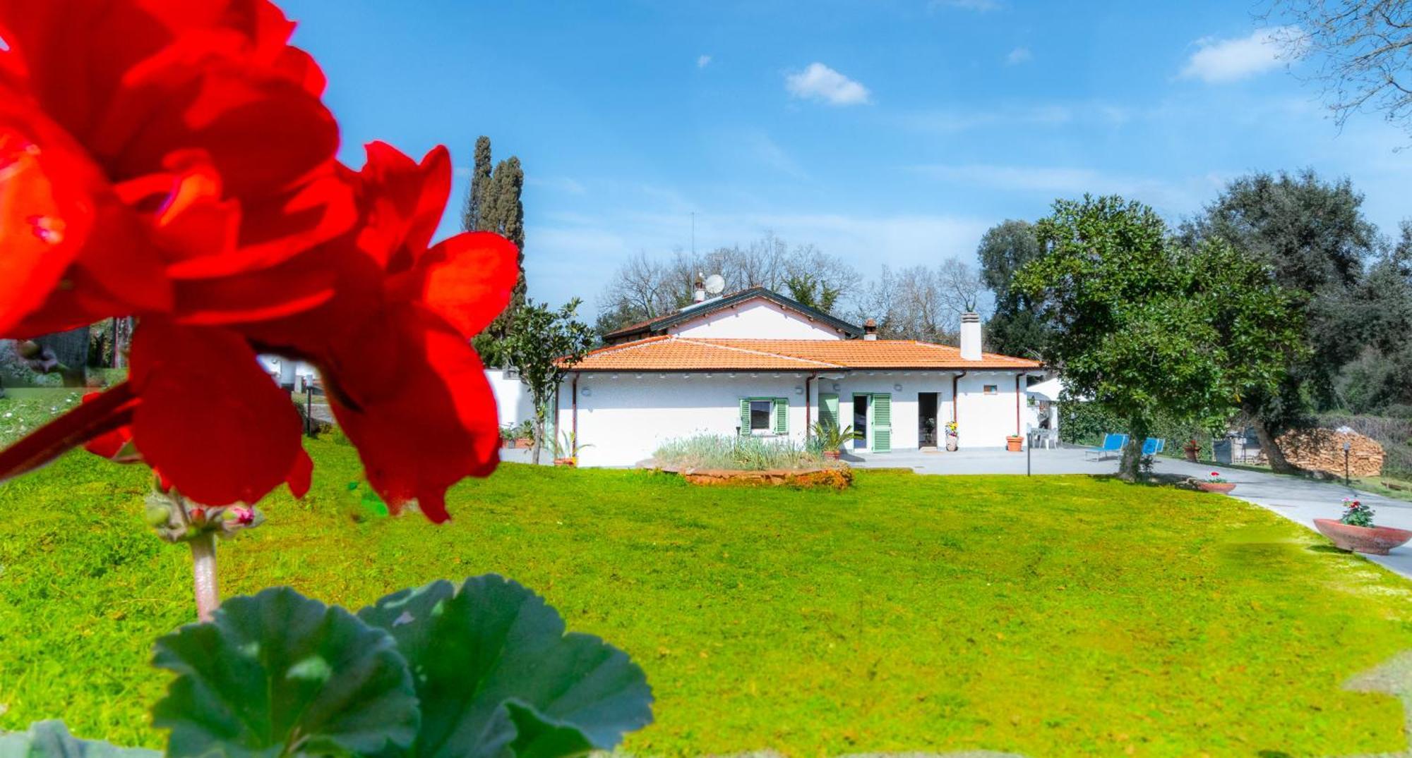 Casa de Férias Woody